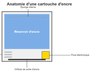 anatomie cartouche encre